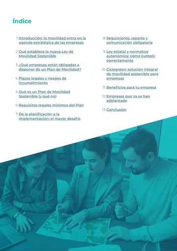 White paper- planes de movilidad