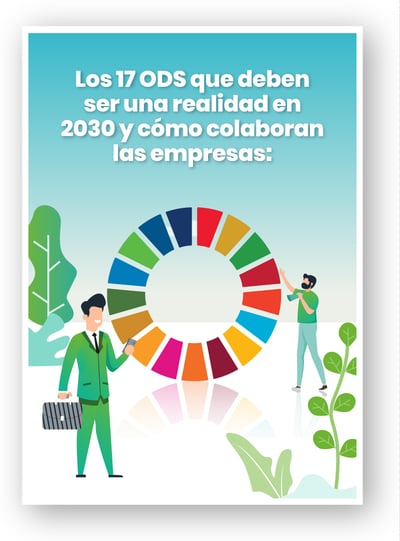 Los 17 Ods Y Algunos Ejemplos Reales En Empresas